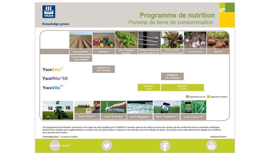 Programme de nutrition de la pomme de terre consommation