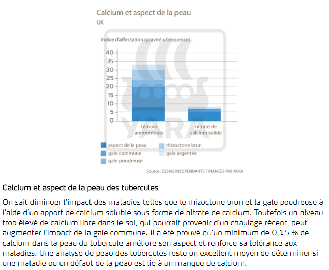 calcium et aspect de la peau