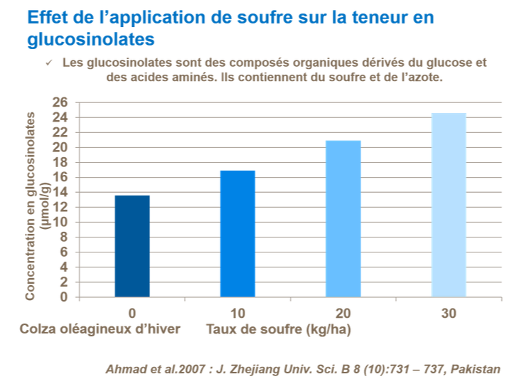 Graphique sur l'effet de l’application de soufre sur la teneur en glucosinolates