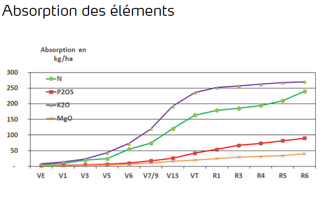 Absorption des éléments