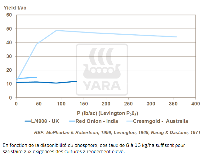 Phosphore et rendement