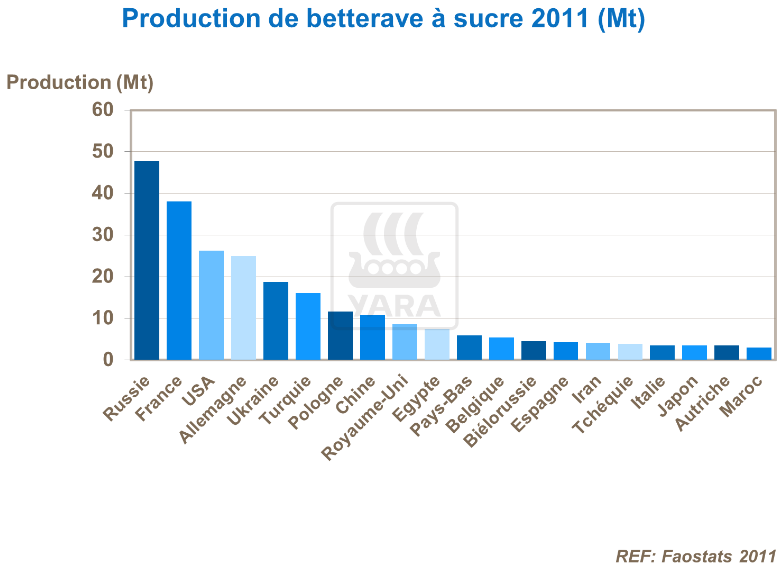 Production de betterave à sucre en 2011