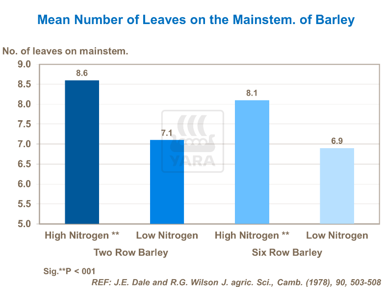 Nombre moyen de feuilles sur tige principale orge