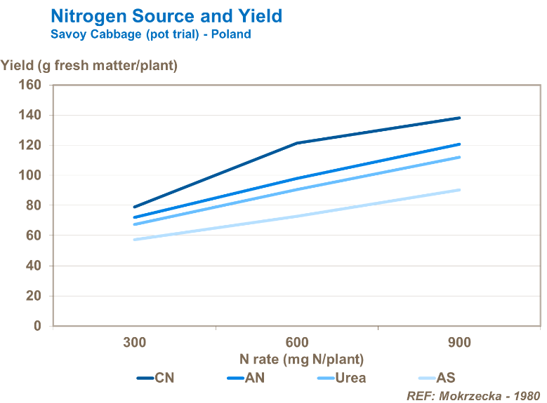 Source d'azote et rendement - Chou de Savoie