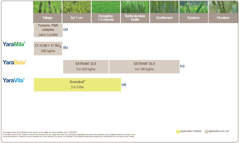 Programme de nutrition du blé fourrager