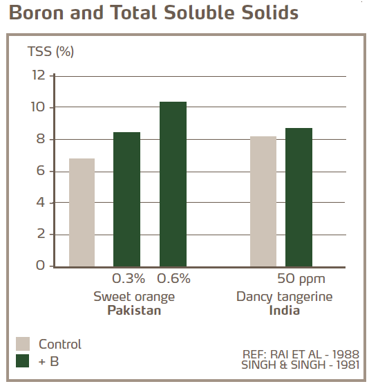 Bore et sucres solubles totaux 