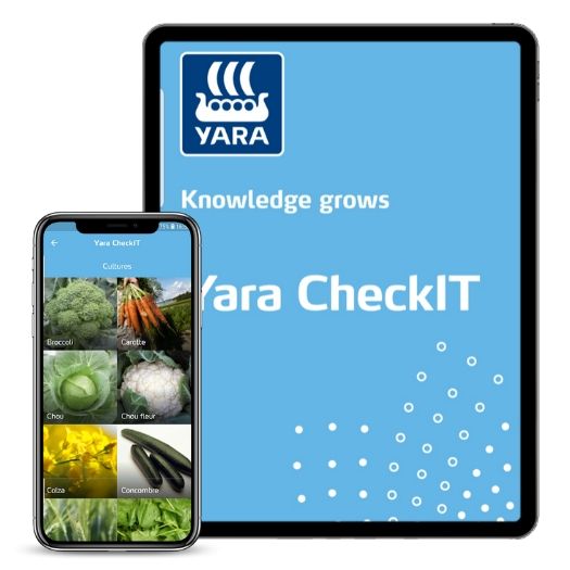 Application Yara CheckIT