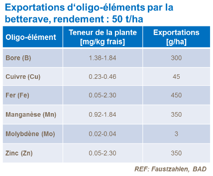 Exportations d'oligo-éléments par la betterave