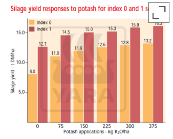 graphique sur ensilage et potasse
