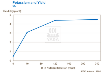 Graphique nutriment potassium pour les tomates
