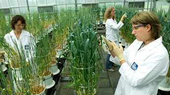 Développement et Croissance de l’Entreprise