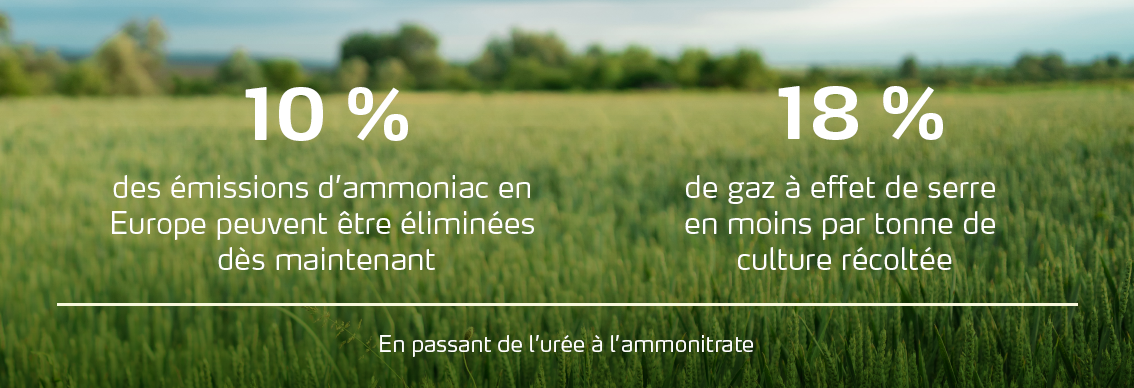 Infographie sur les effets bénéfiques de l'utilisation de solutions à base de nitrate