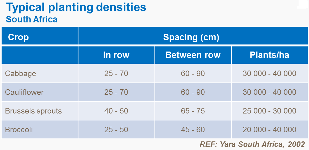 Densités de plantation typiques