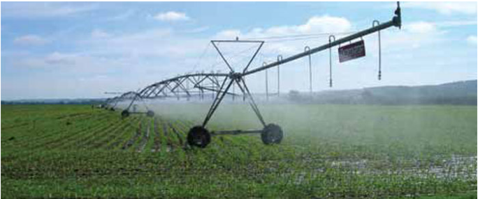 Rampe d’irrigation au-dessus d’un champ de maïs encore peu développé