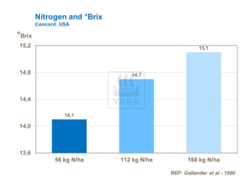 Graphique azote et Brix