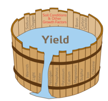 Schéma sur minéraux nécessaires au blé