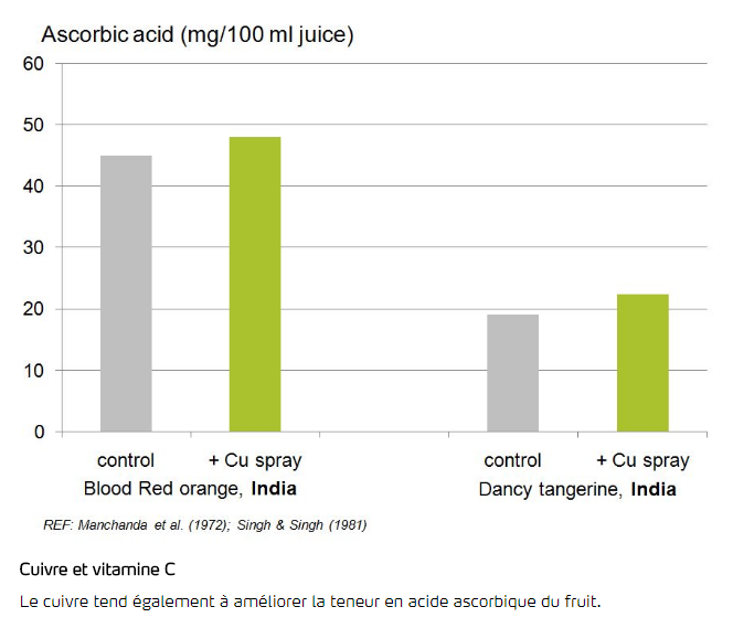 Cuivre et vitamine C