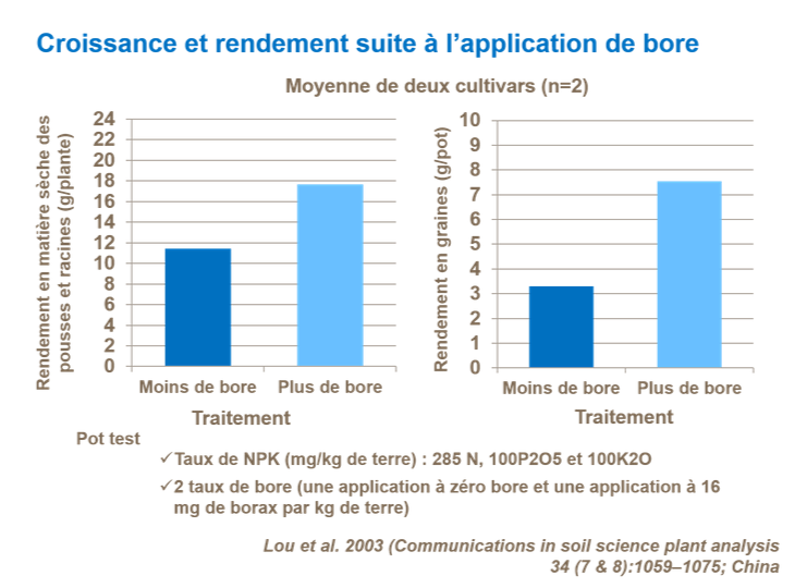 Graphique sur la croissance et rendement suite à l’application de bore