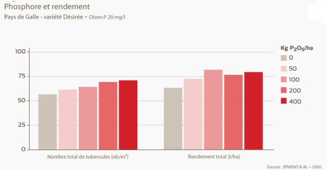 Phosphore et rendement