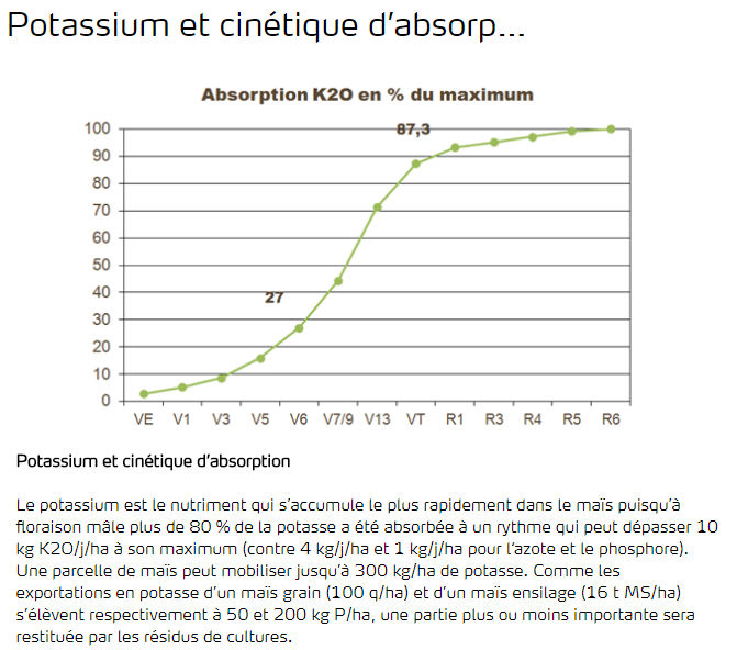 Potassium et cinétique d'absorption