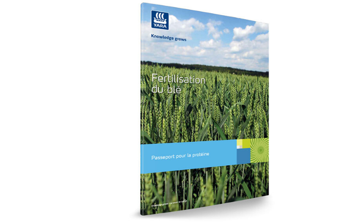 La fertilisation du blé