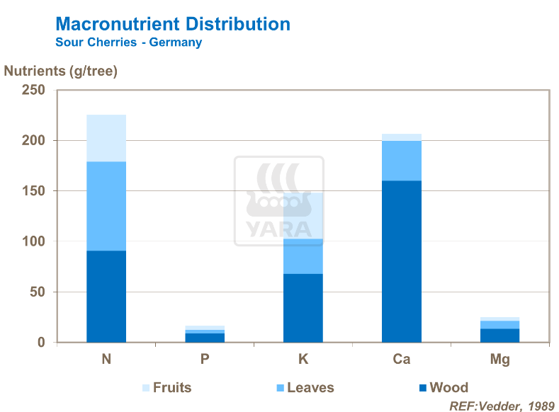 Distribution des macro-nutriments dans cerises