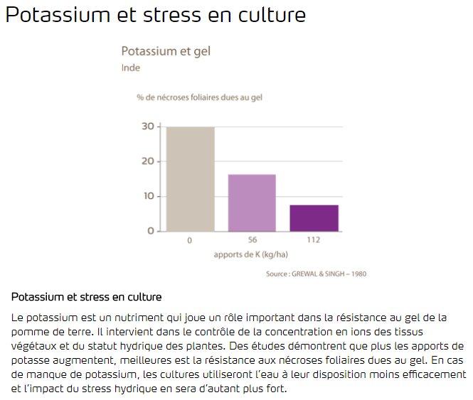 potassium et stress en culture (gel)