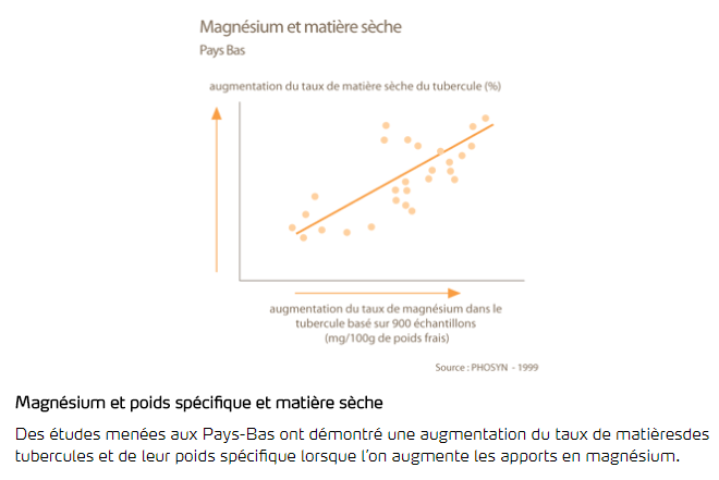 magnésium et matière sèche