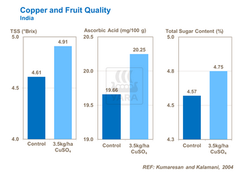 Graphique sur teneur en cuivre et échelle de brix
