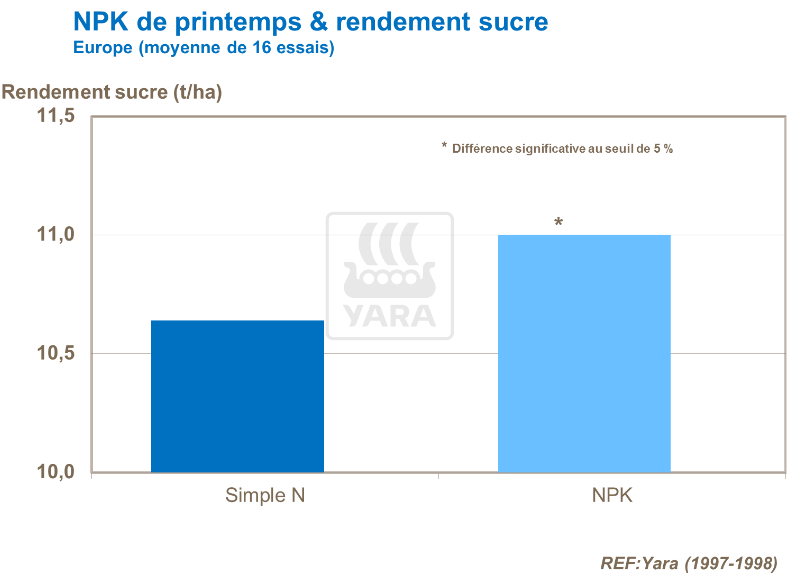 NPK de printemps et rendement en sucre