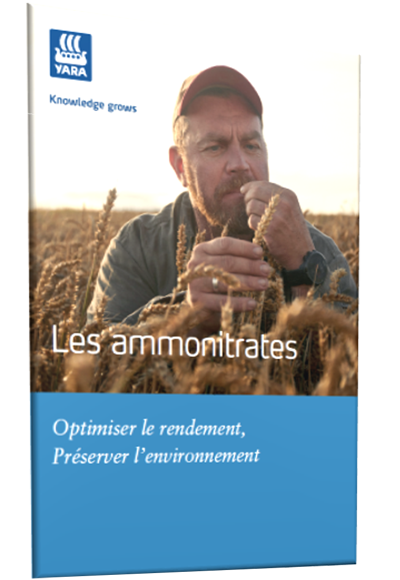 Livre blanc sur les ammonitrates