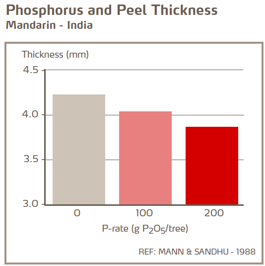 Phosphore et épaisseur de l'écorce - Mandarines