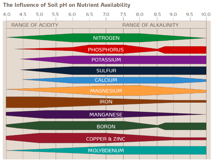 Influence de l'acidité du sol sur disponibilité des nutriments