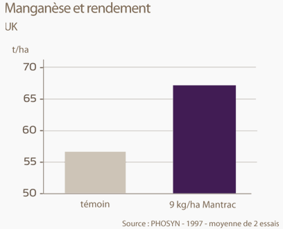 Manganèse et rendement