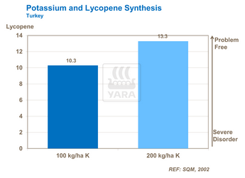 Faible niveau de potassium entraîne faible coloration