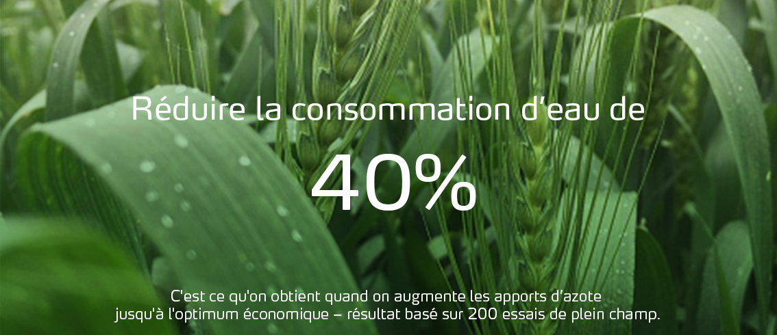 Infographie sur la réduction de la consommation d'eau quand on augmente les apports d’azote