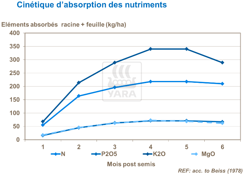 Cinétique d'absorption des nutriments