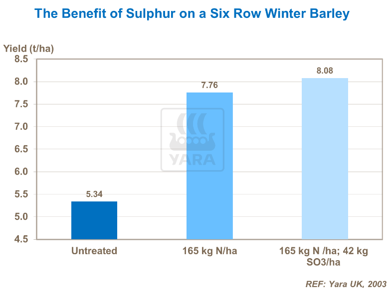 Effet du soufre sur orge d'hiver