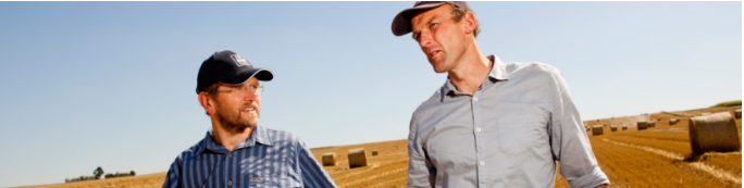 Deux hommes dans un champ de blé