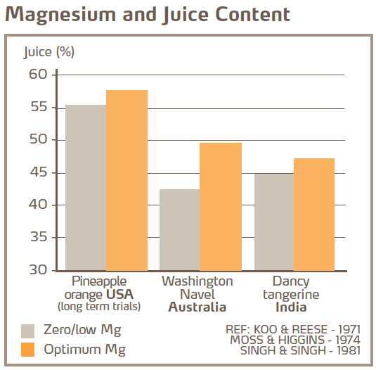 Magnésium et teneur en jus