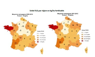 Solde en phosphore par région en Kg/ha fertilisable
