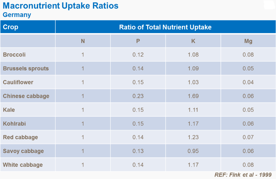 Ratios d'absorption des macronutriments
