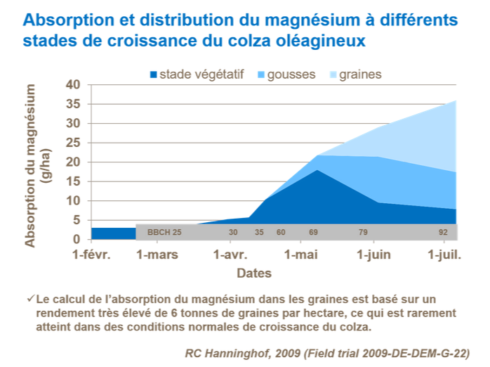 Graphique sur l'absorption et distribution du magnésium à différents stades de croissance du colza oléagineux