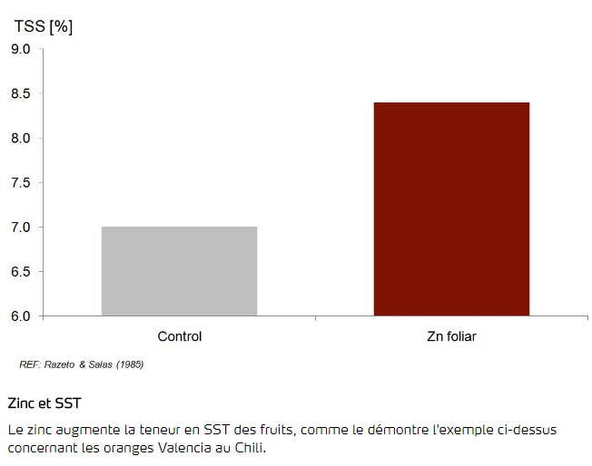 Zinc et SST