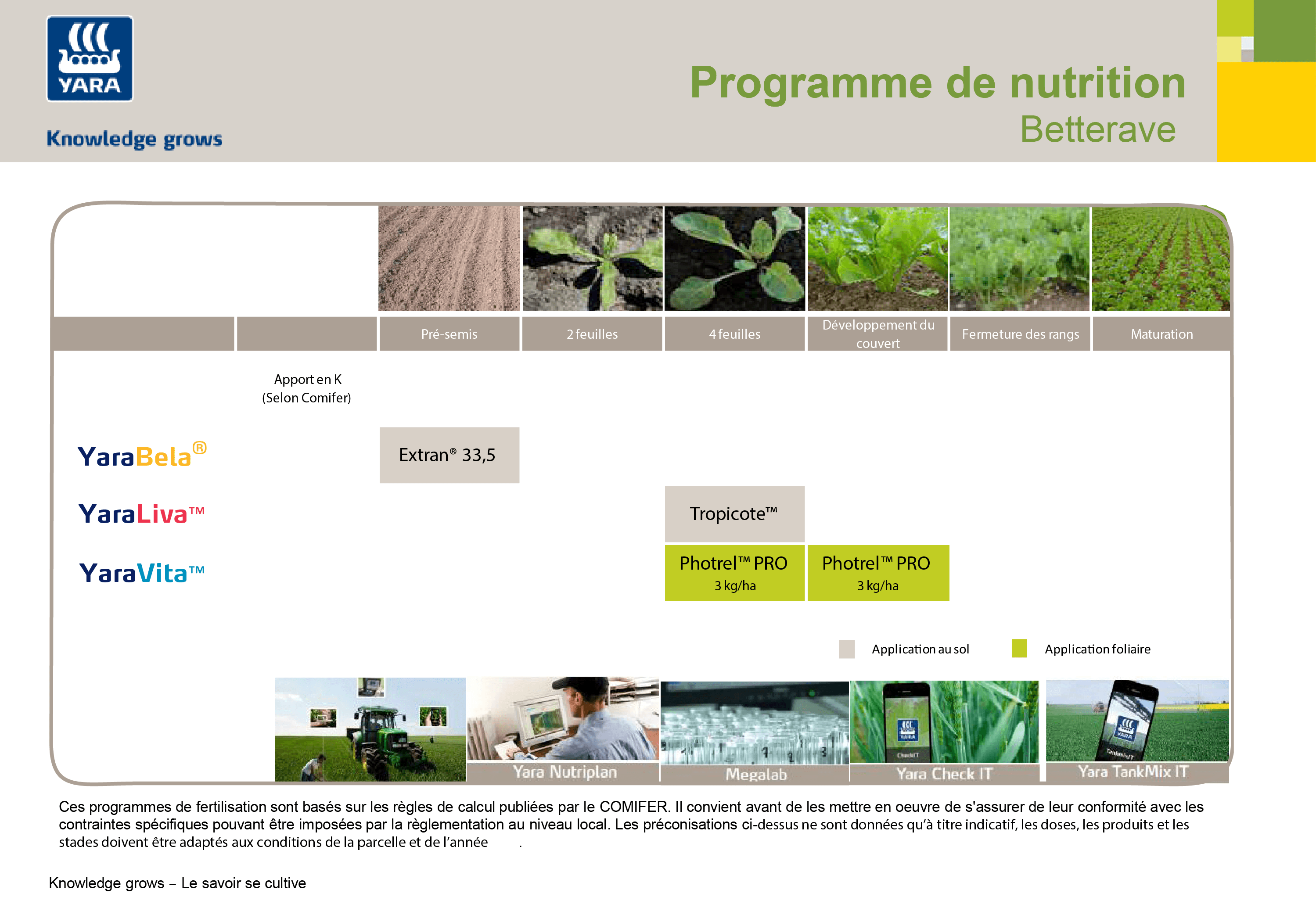 Programme de nutrition de la betterave