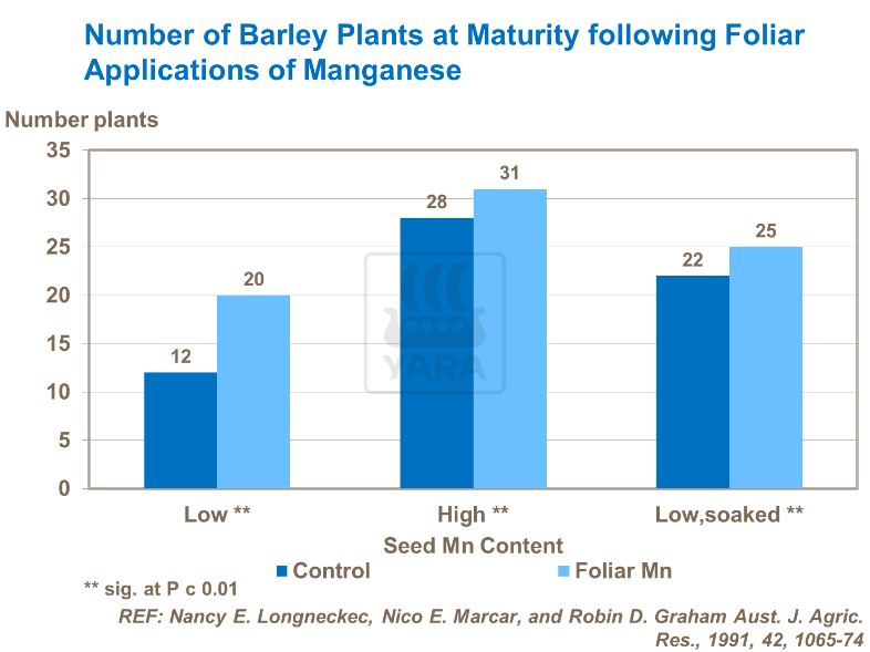 Nombre de plants d'orge à maturité suivant application foliaire de manganèse