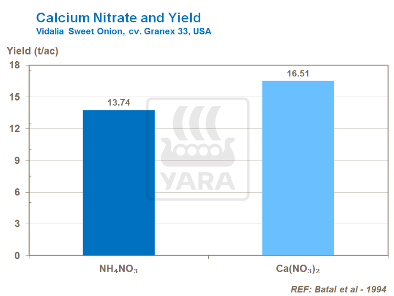 Nitrate de calcium et rendement