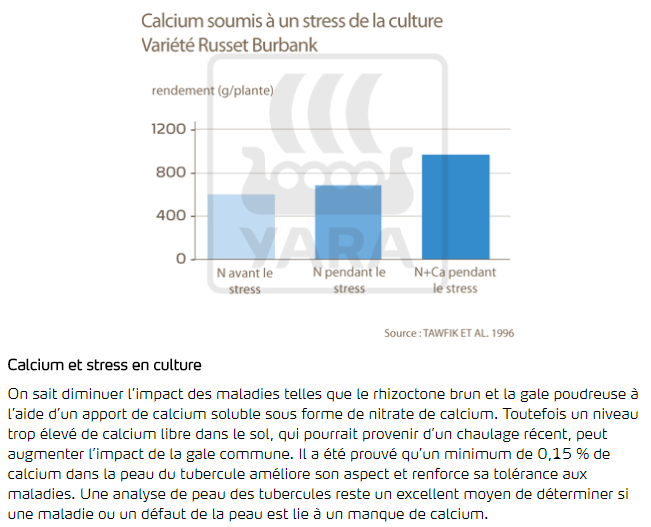 calcium soumis à un stress de la culture