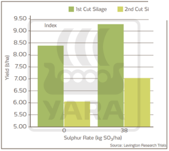 Graphique effets du soufre sur rendement en herbe