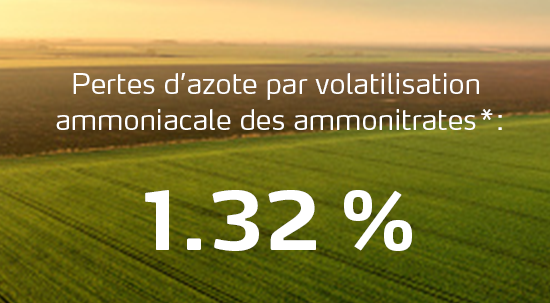 Infographies sur les pertes d’azote par volatilisation ammoniacale des ammonitrates